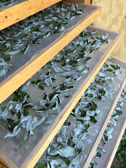 Wise Woman spagyric extract