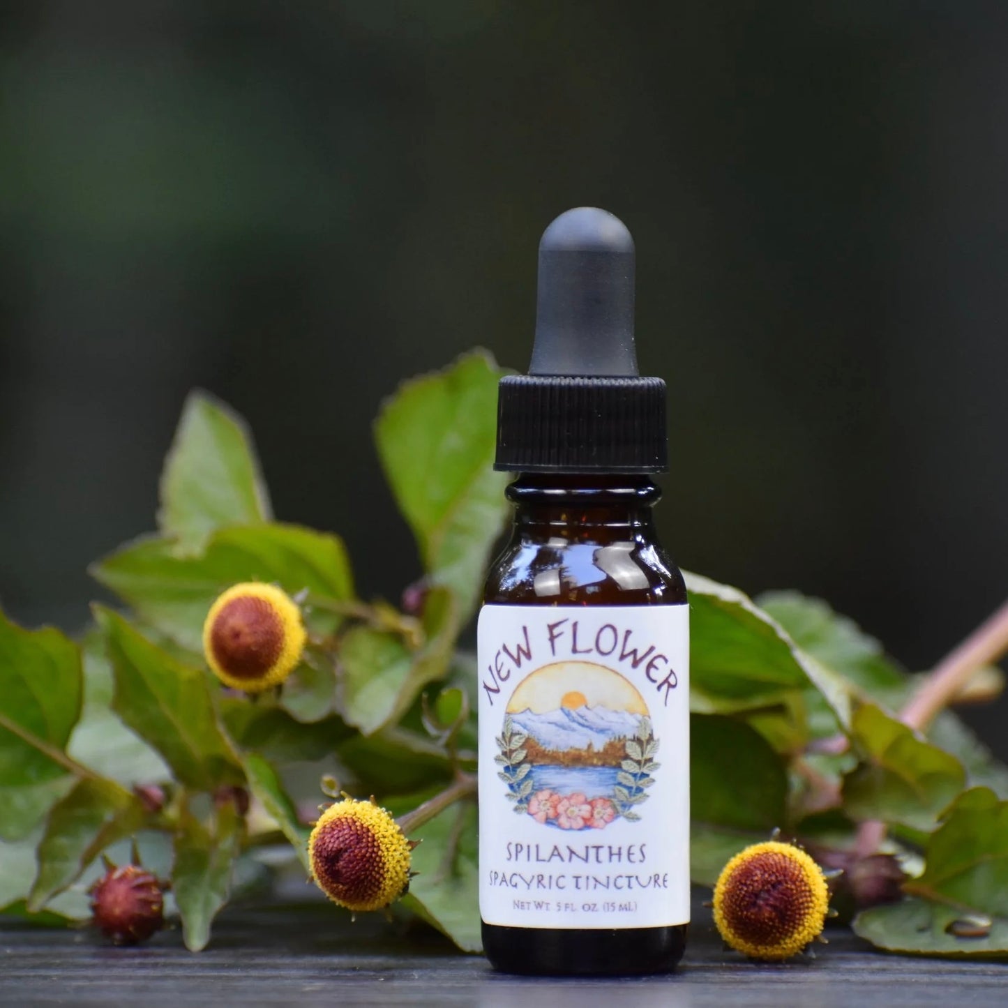 Spilanthes spagyric extract