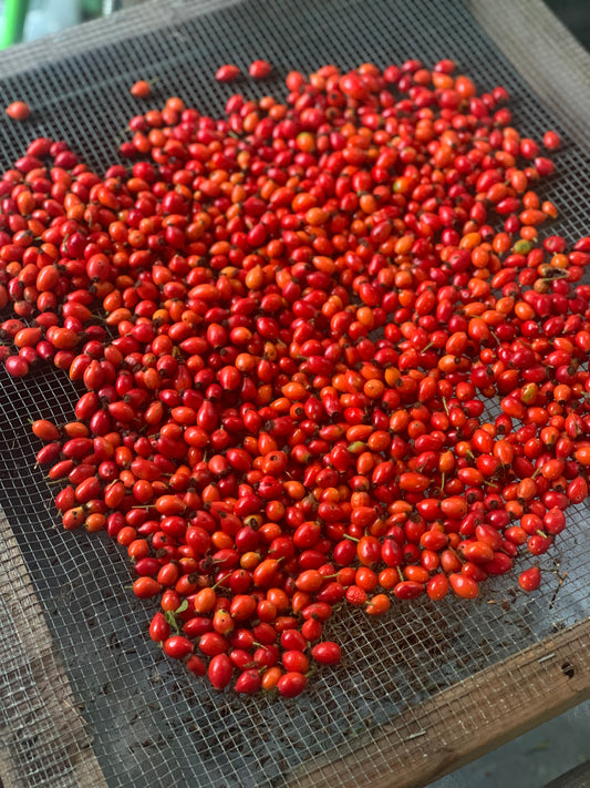 Radiance facial cream