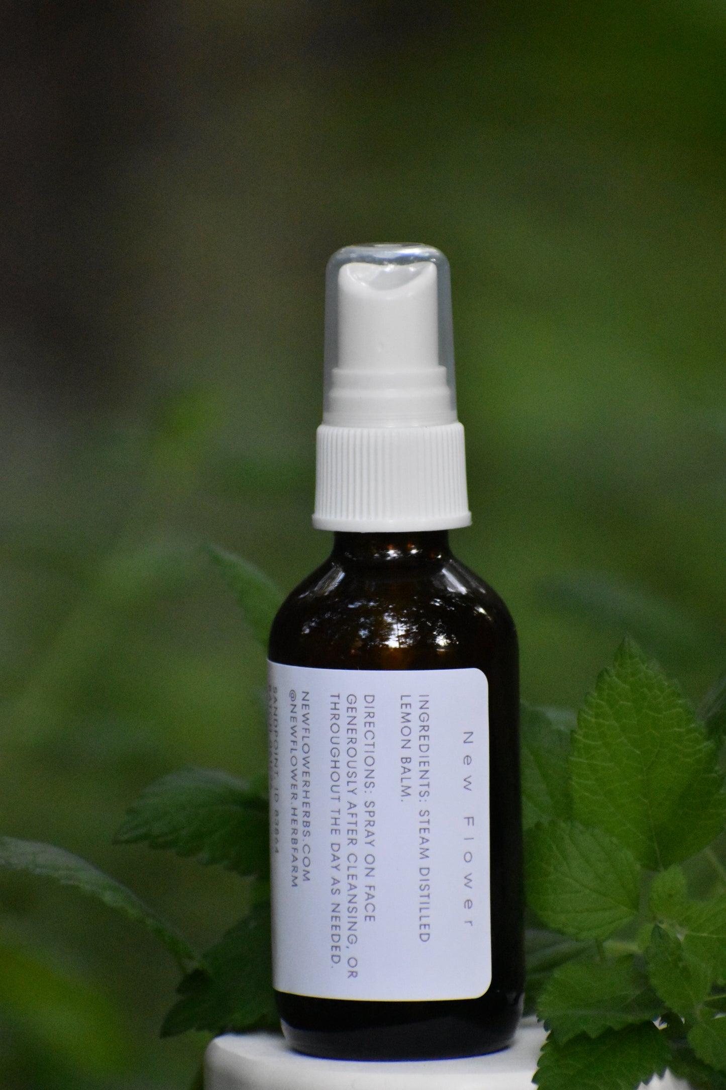 Lemon Balm hydrosol