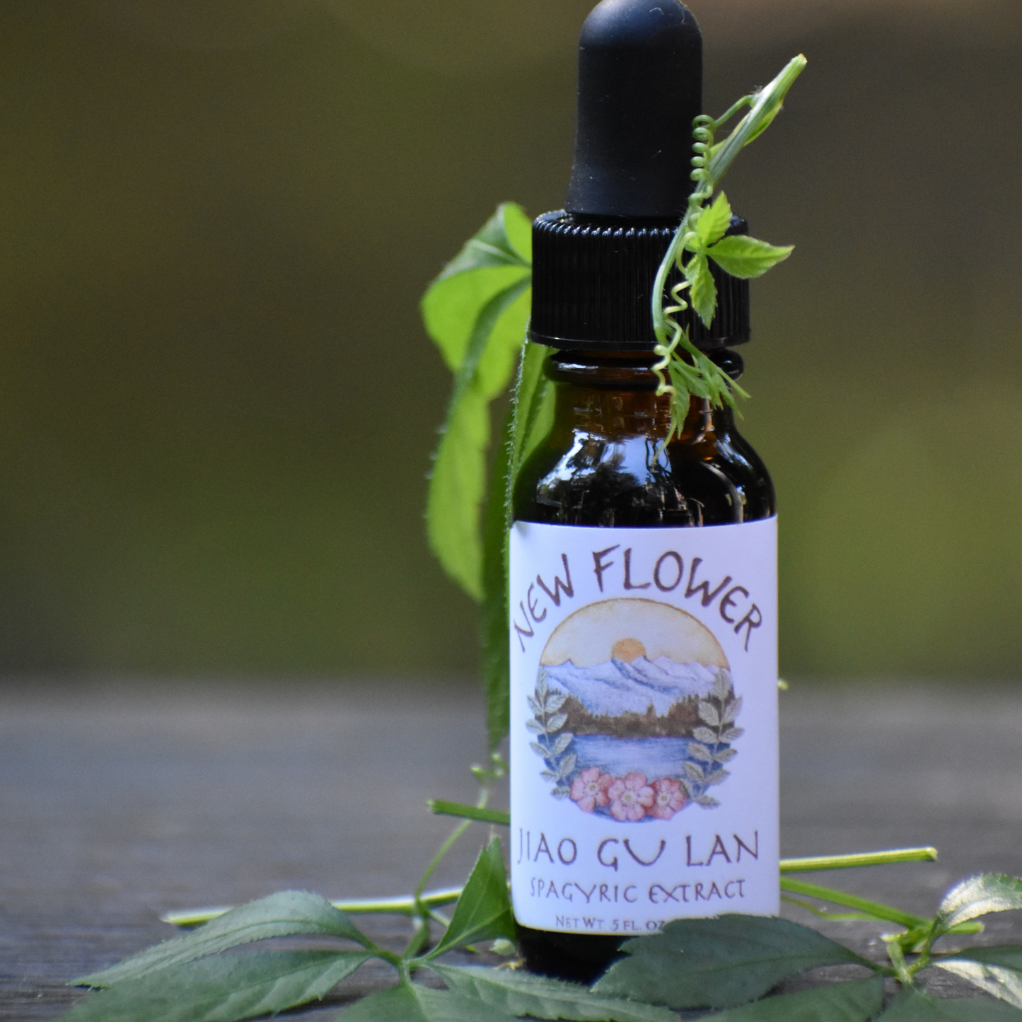 Jiao Gu Lan spagyric extract
