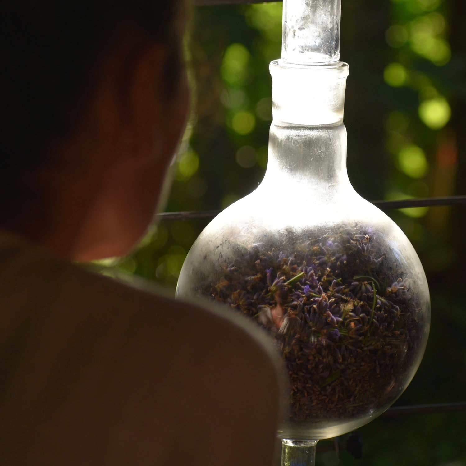 Spagyric herbal extracts