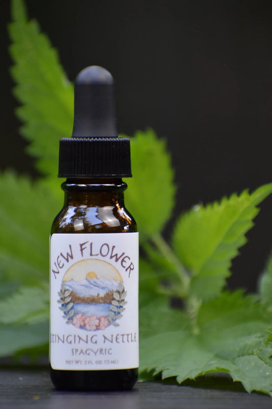 Nettle spagyric extract