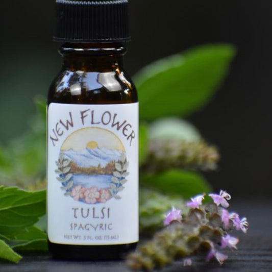 Tulsi spagyric extract