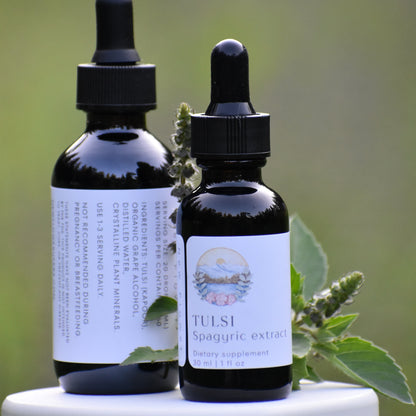 Tulsi spagyric extract