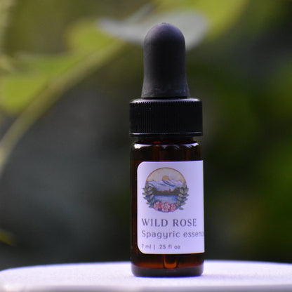 Wild Rose spagyric essence