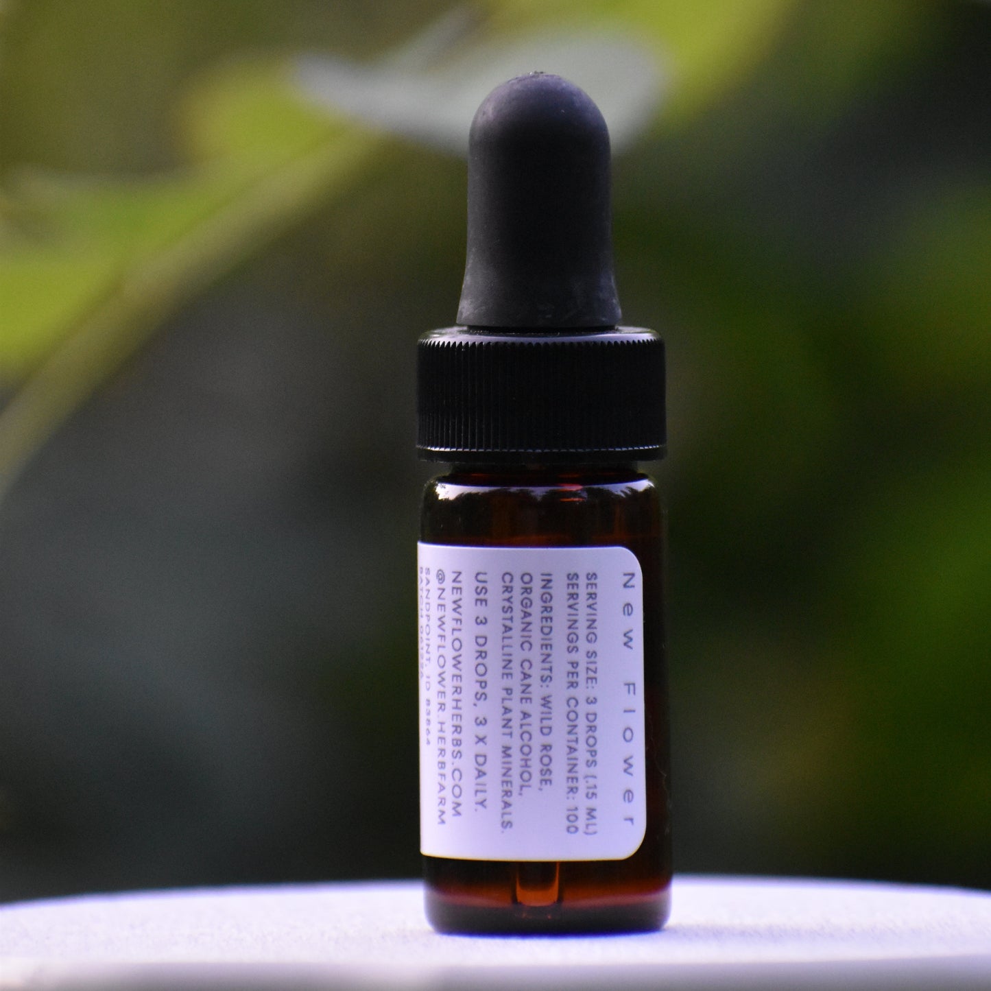 Wild Rose spagyric essence