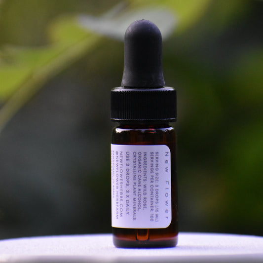 Wild Rose spagyric essence