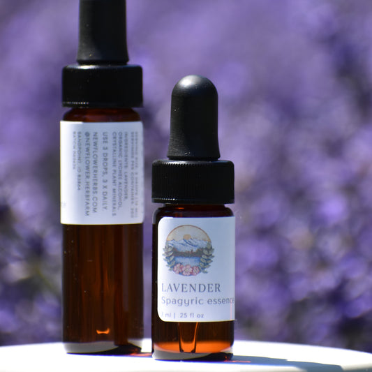 Lavender spagyric essence