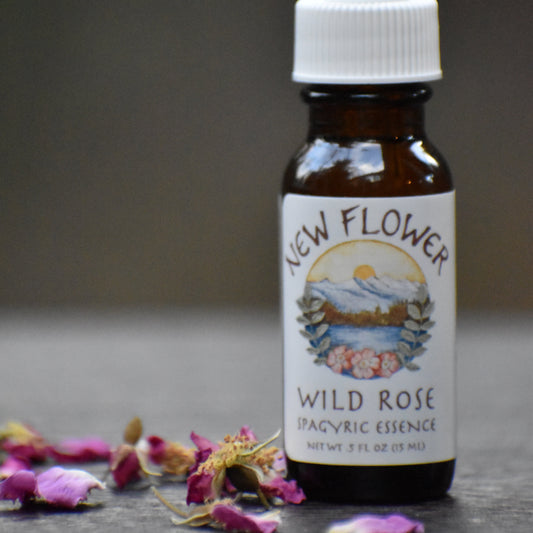 Wild Rose spagyric essence