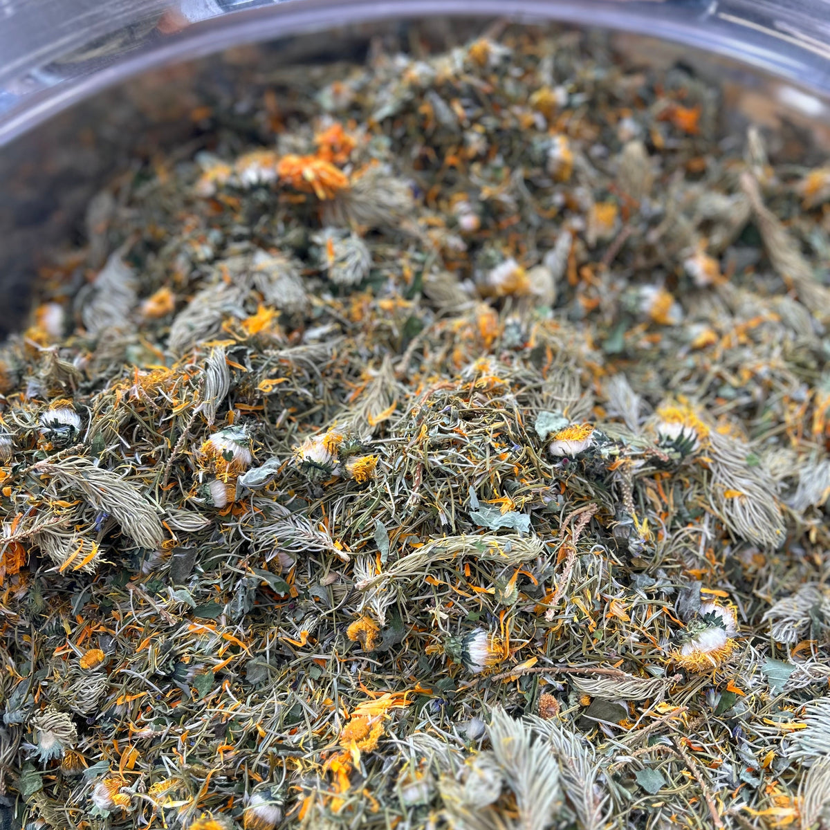 Alpine Forest Herbal Tea New Flower alpine-forest-herbal-tea-new-flower