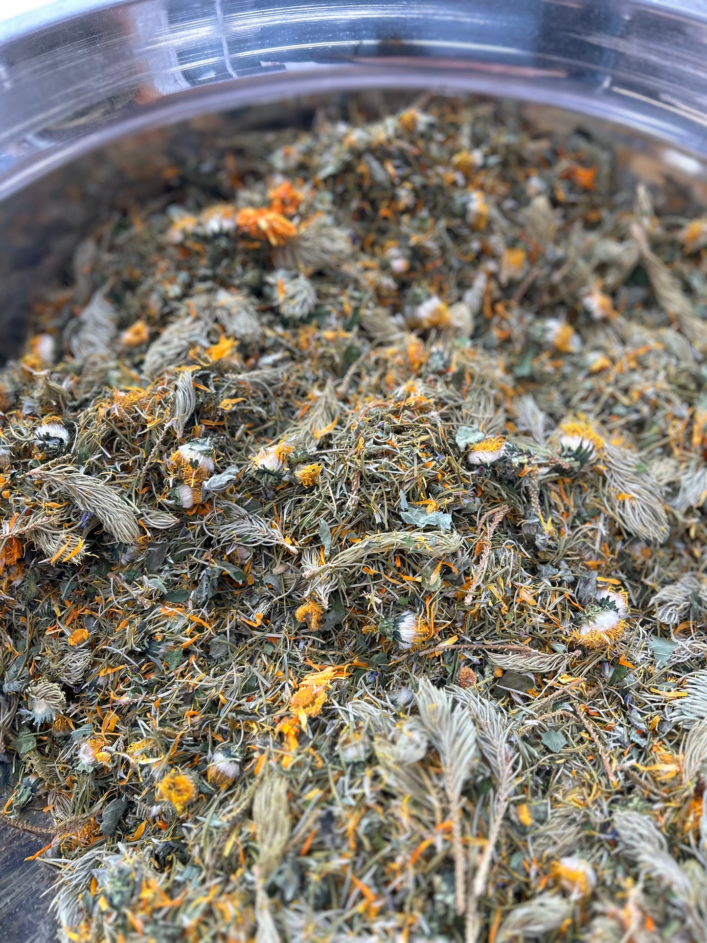 Alpine Forest herbal tea