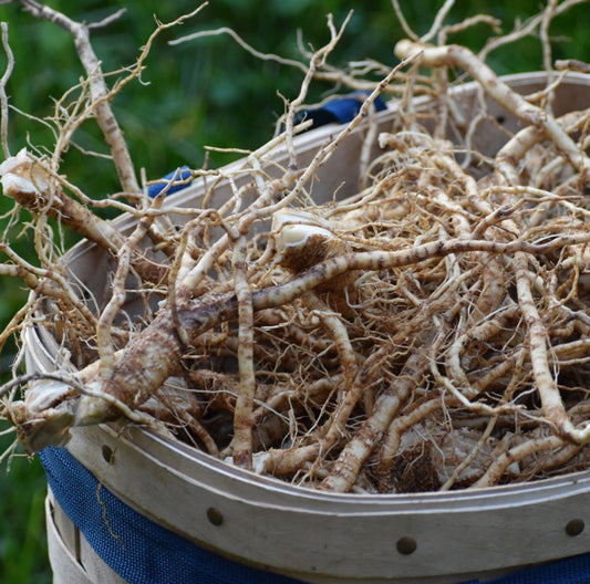 Ashwagandha electuary