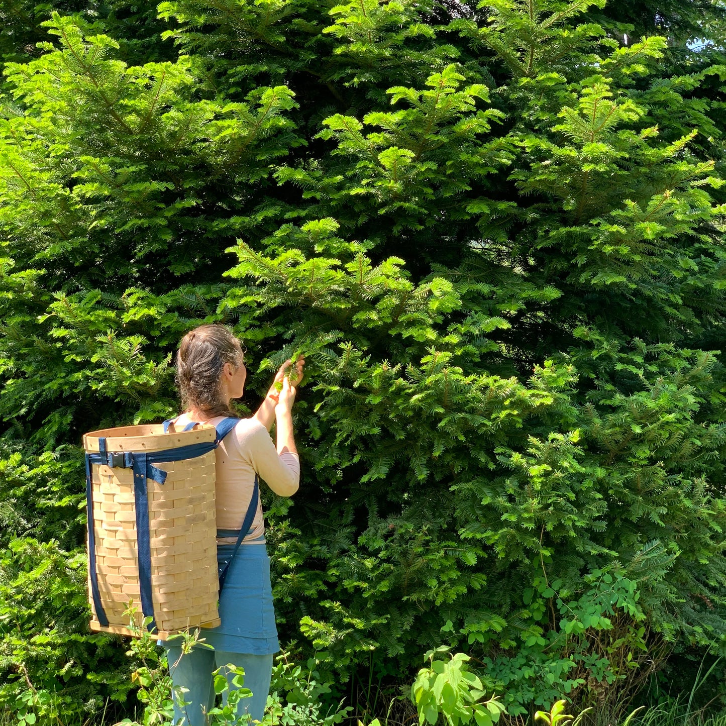 Alpine Forest Foaming Cleanser