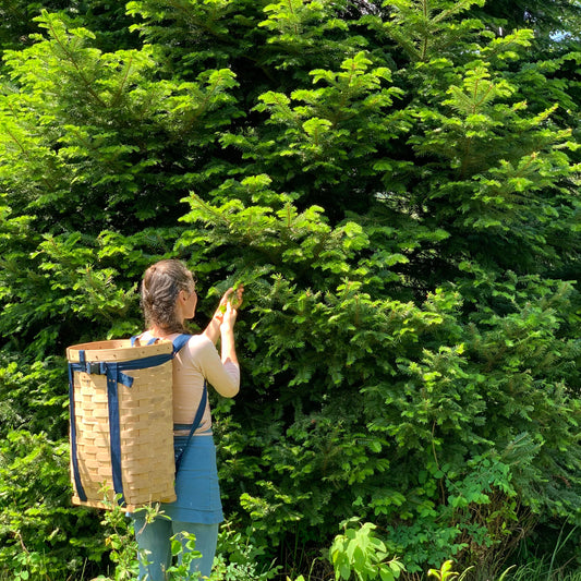 Alpine Forest Foaming Cleanser